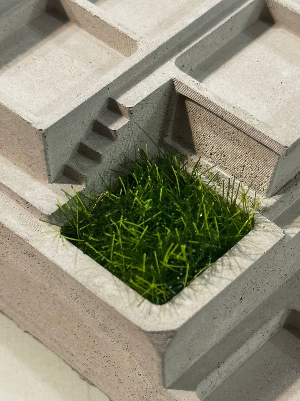 Betoncity | Artisan Display